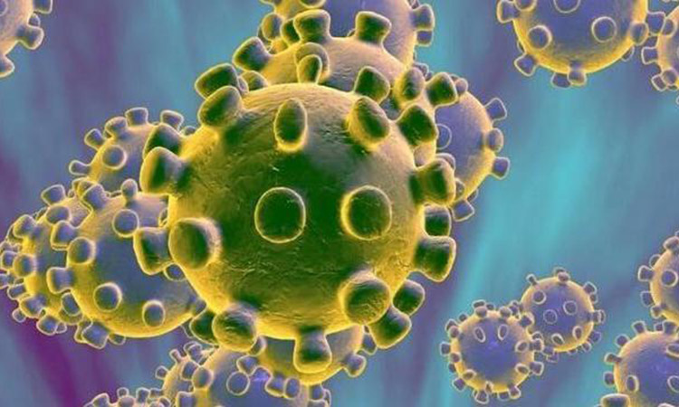 1620821048454310.jpg 4.jpg